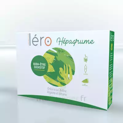 Léro Hepagrume Solution Buvable Complément Alimentaire 20 Ampoules/10ml à BRUGES