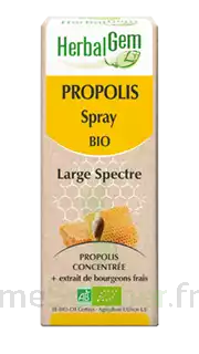 Herbalgem Propolis Large Spectre Solution Buvable Bio Spray/15ml à BRUGES